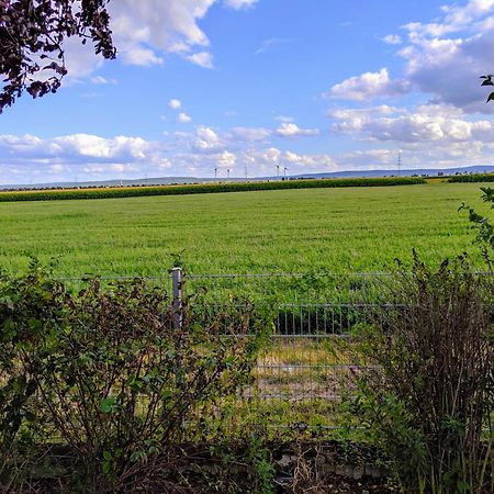 Grosse Schoenheit Mit Panoramablick Euskirchen Zewnętrze zdjęcie